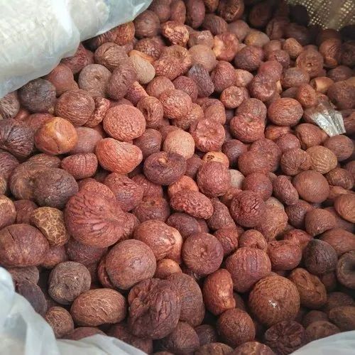 Areca Nut